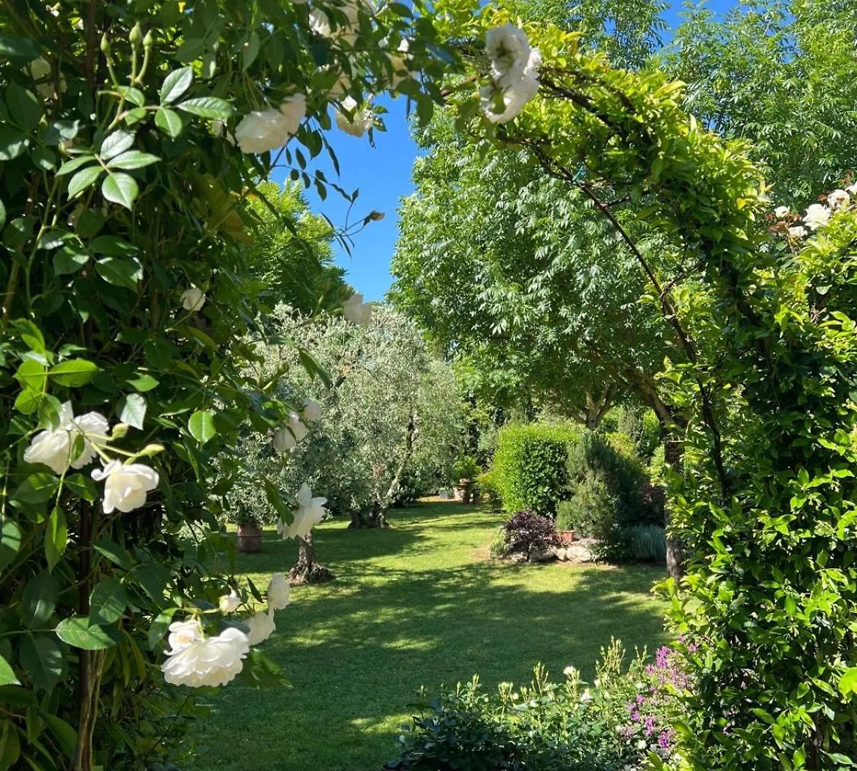 Relais La Corte Dei Papi Cortona